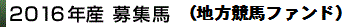2016産募集馬(地方競馬ファンド)